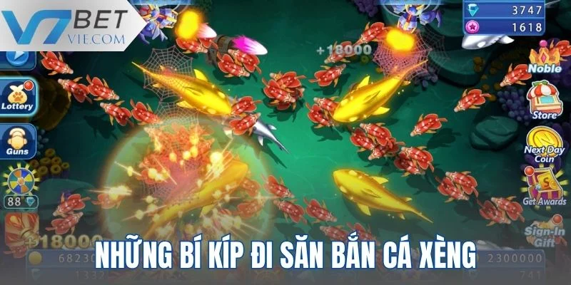 Bí kíp chơi Bắn Cá Xèng bất bại cho mọi người Bí kíp chơi Bắn Cá Xèng bất bại cho mọi người